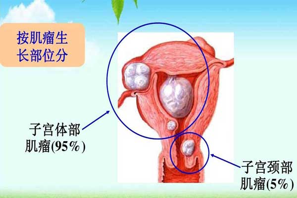 35岁以上三代代怀价格生儿子成功率高不高（很多因素都有影响你可能不知道）